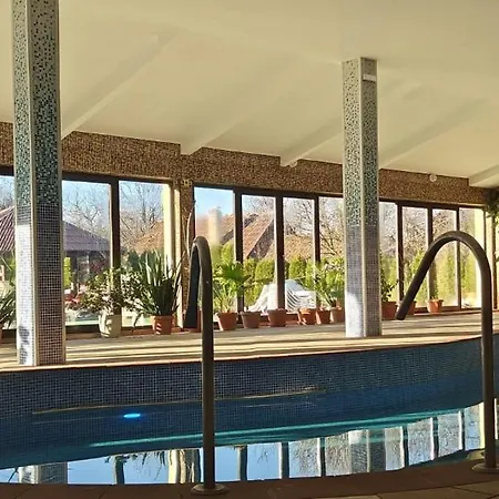Pensiunea - Cazare, Restaurant, Piscina, Sala De Evenimente * Vadu Izei